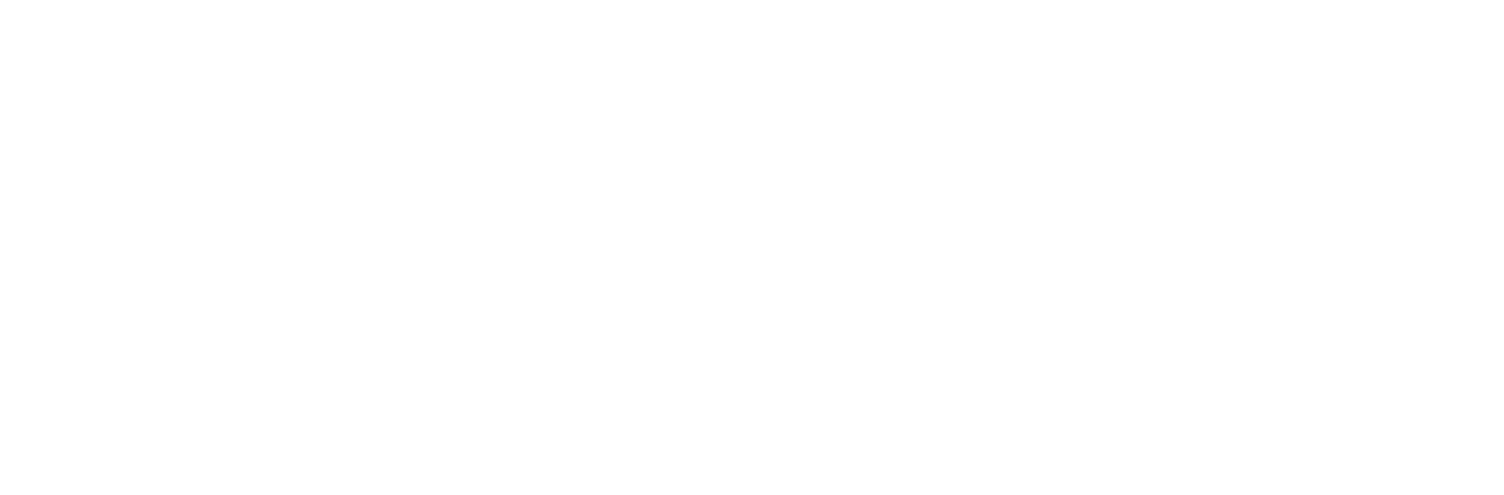 Flex Energy Solutions